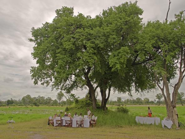 Chichele Presidential Lodge - lunch under tree